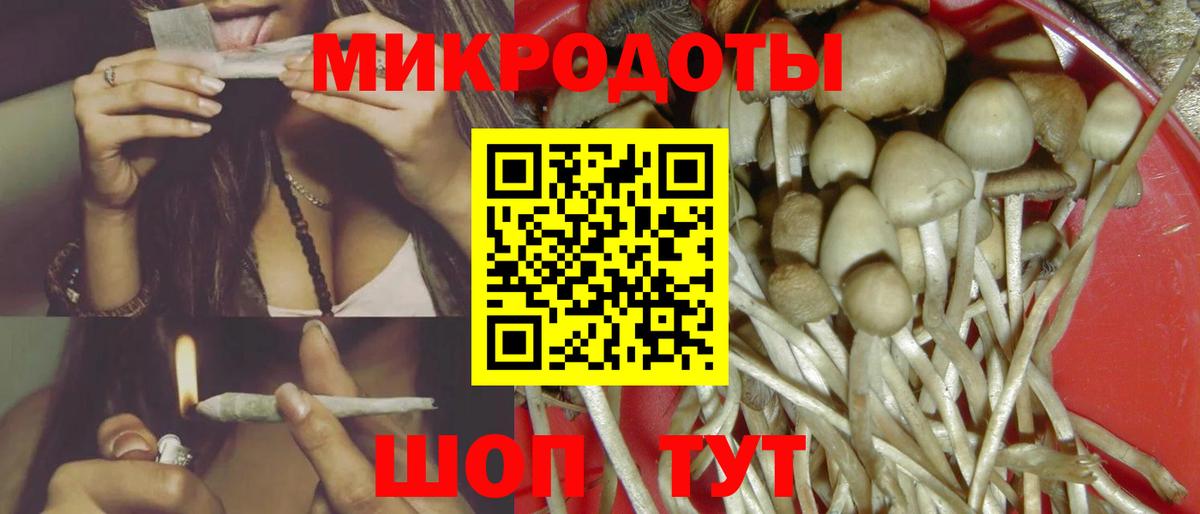 Псилоцибиновые грибы Psilocybine cubensis  Псилоцибиновые грибы мицелий  Вход с VPN  Советский 